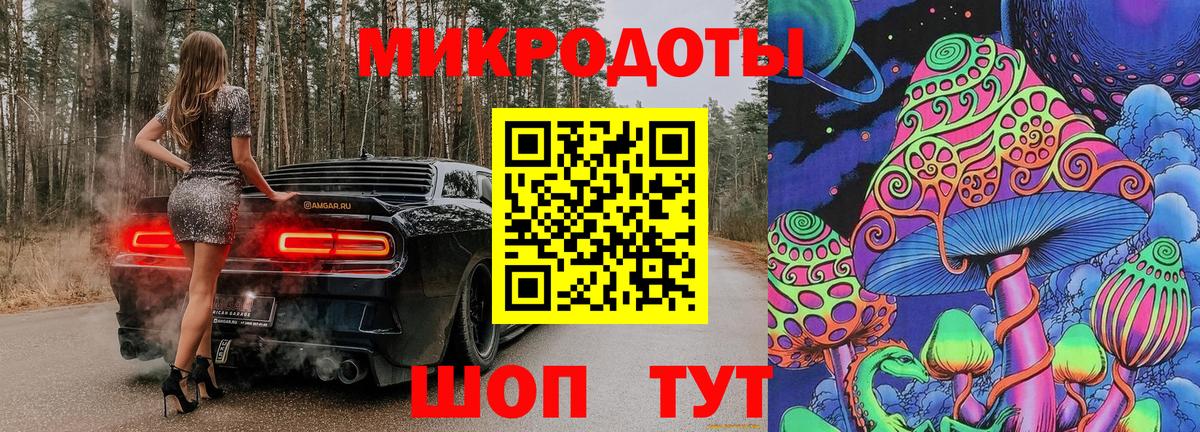 купить наркотик  Галлюциногенные грибы Psilocybe  Вход с VPN  Гулькевичи 